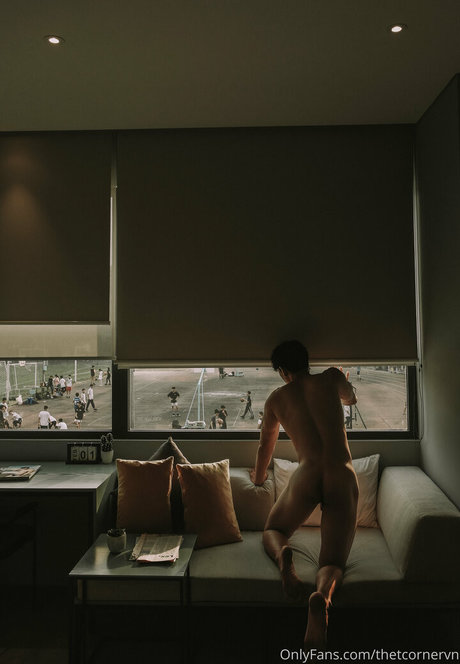 thetcornervn porn star gallery