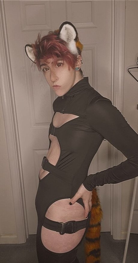 Porkcutlett model art pictures