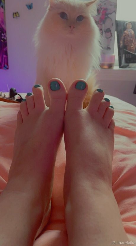 sleepylaika nice star img