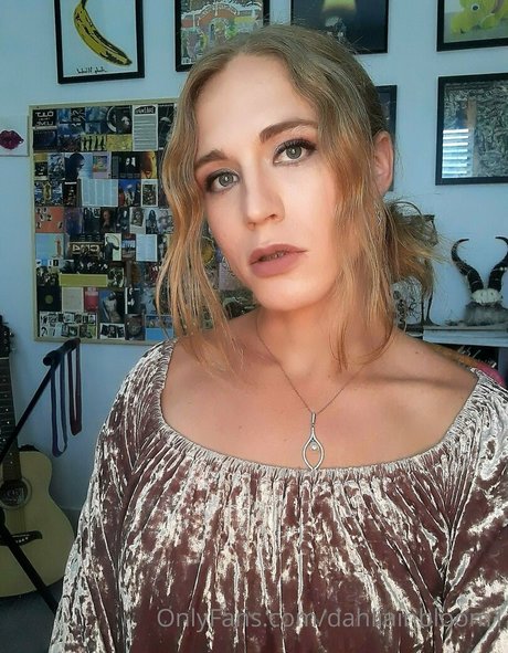 dahliainbloom1 hd star galleries