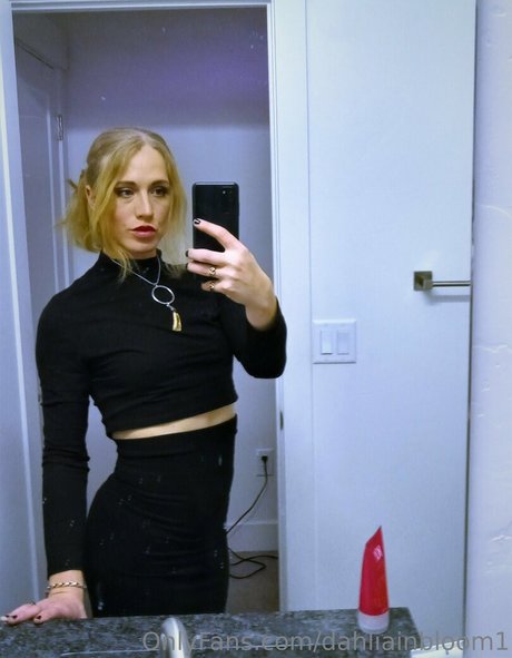 dahliainbloom1 nice star photos