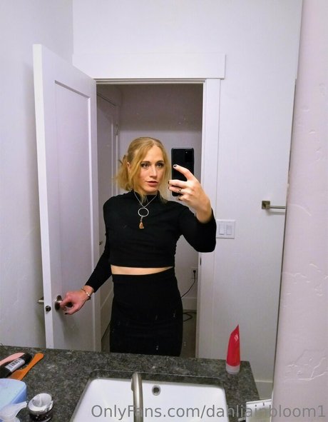 dahliainbloom1 nice star archive