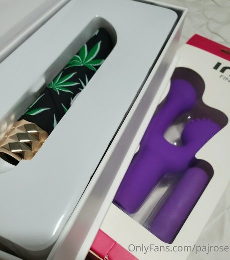 pajrose high quality model archive