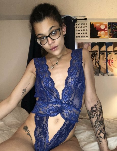 lauryn roes star perfect gallery