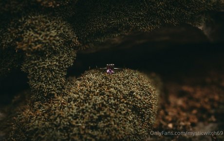 mysticwitch69 pretty pornstar picture