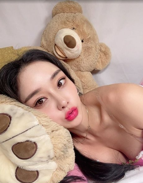 Shasa fly free star images