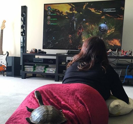 Rae Johnston free pornstar pics