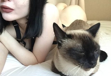 shadowshine5 sex star pictures