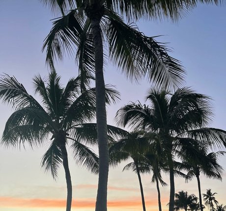 Leslie Sanchez hot model picture