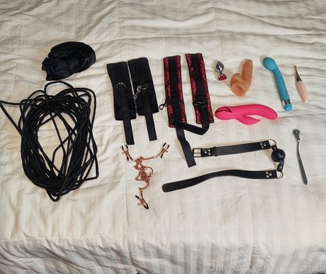 mr nomad model best image