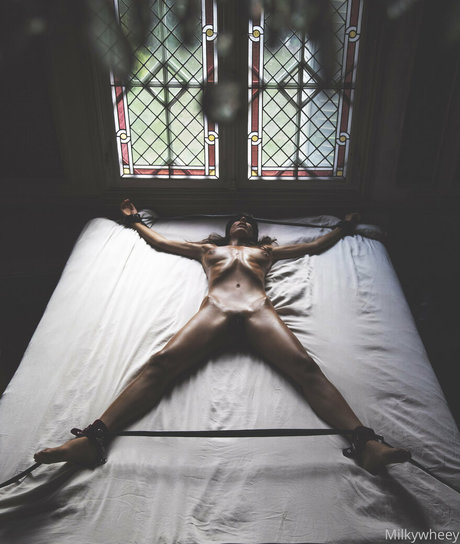 ohhmilky star nude archive