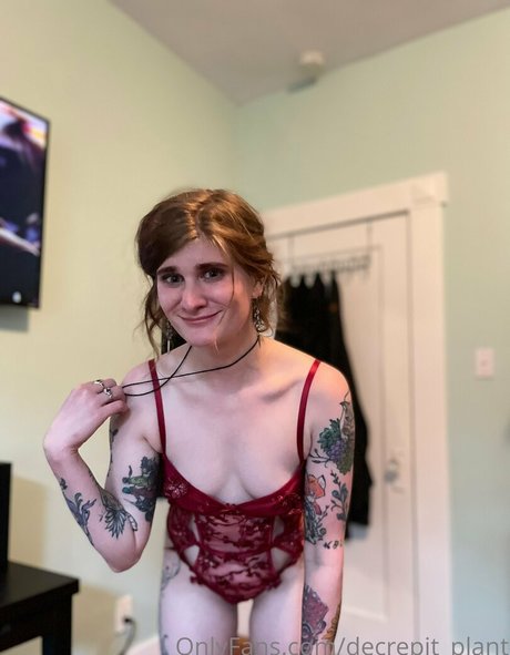 Decrepit plant top pornstar image