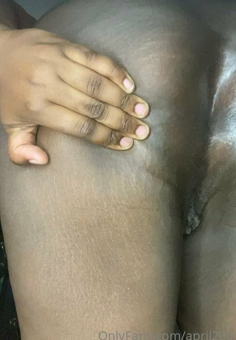 april200 star hd archive