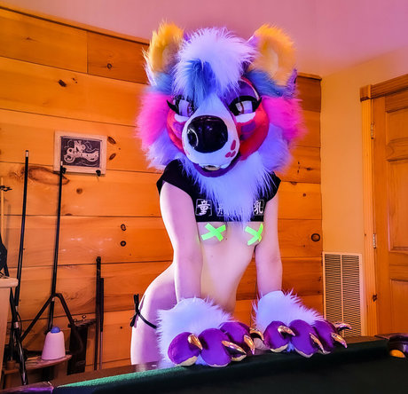 glittertitpup pretty star pictures