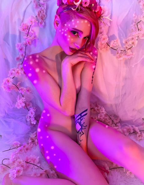 Flickerspark best star photo