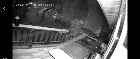 lavellkingentertainment xxx pornstar images