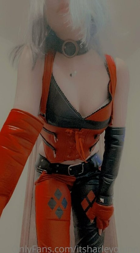 itsharleyquinn pornstar top img