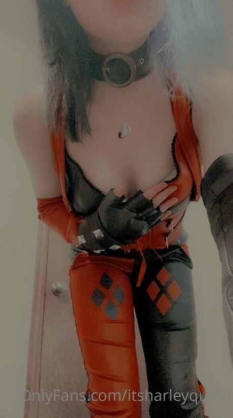 itsharleyquinn star nice pic