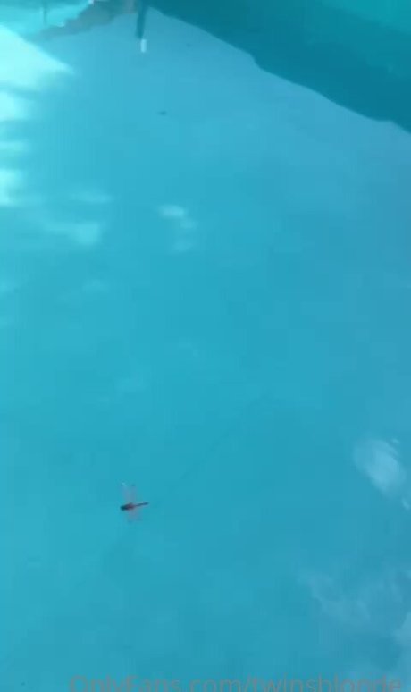 twinsblonde hd star archive