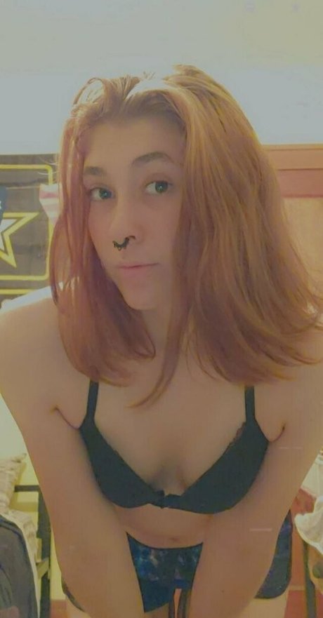 ssapphire equanox21 model hot image