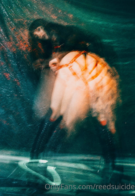 Reedsuicide best star pictures