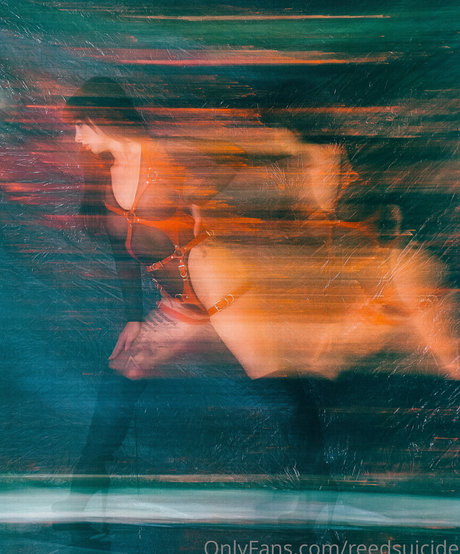 Reedsuicide adult star image