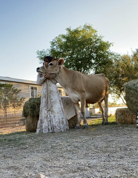 Reedsuicide star porn pictures