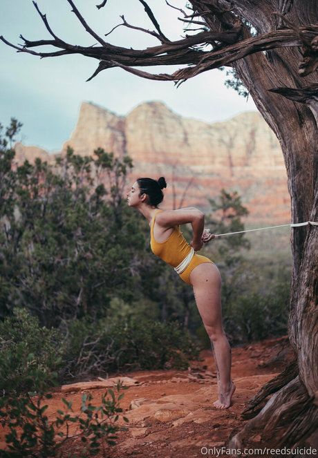 Reedsuicide nudes pornstar images