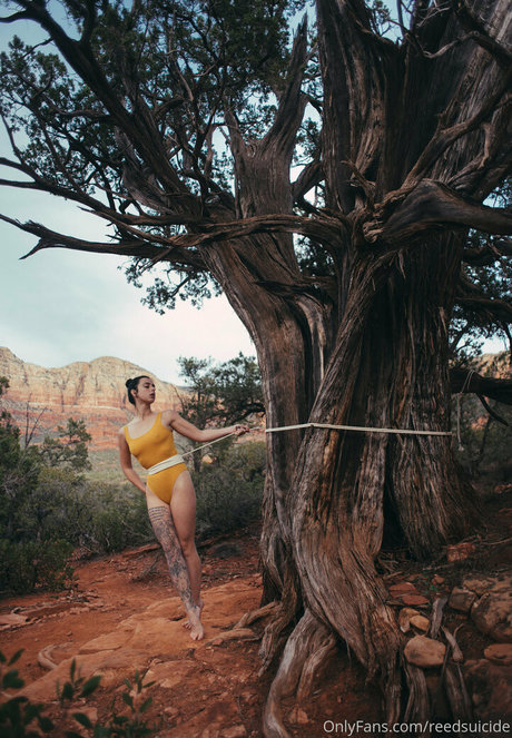 Reedsuicide Profile pic