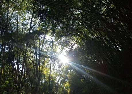 avliequeena naked model galleries