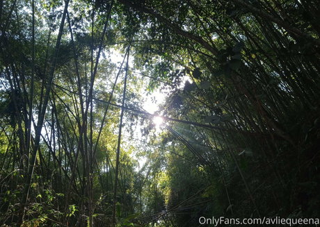 avliequeena pretty pornstar image