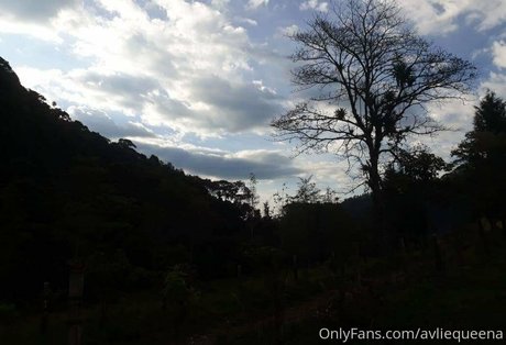 avliequeena high quality star img