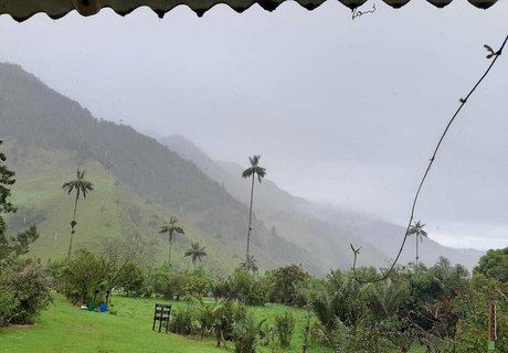 avliequeena xxx model images