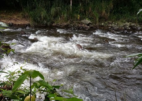 avliequeena erotic model pics