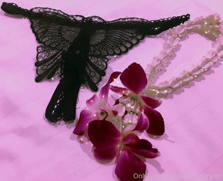 valentinats4m high quality star pics