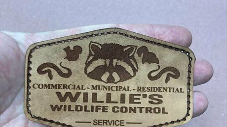 ricksangelsfree model porn gallery