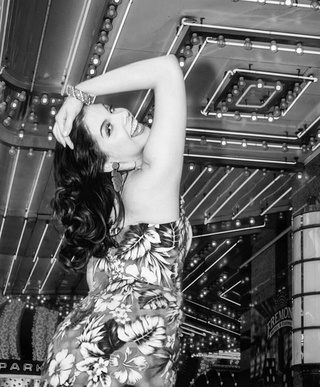 dandyindistress beautiful star pictures