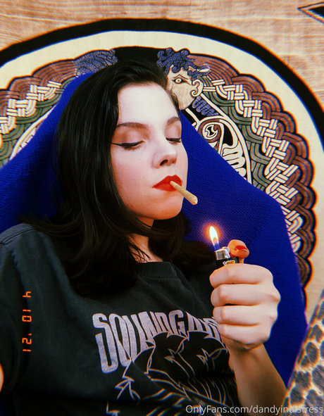 dandyindistress star free pics