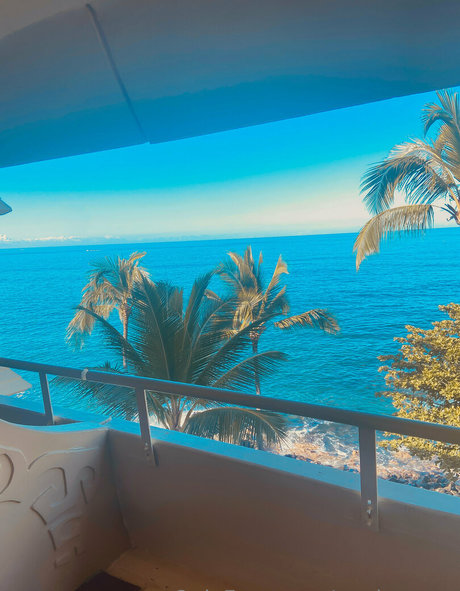 paolamoon top star galleries