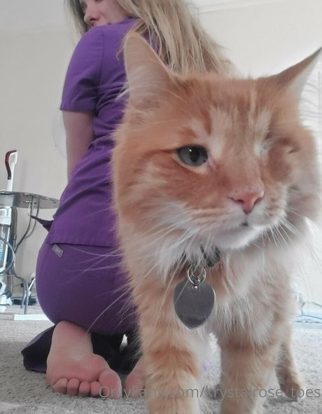 krystalrose toes naked star archive