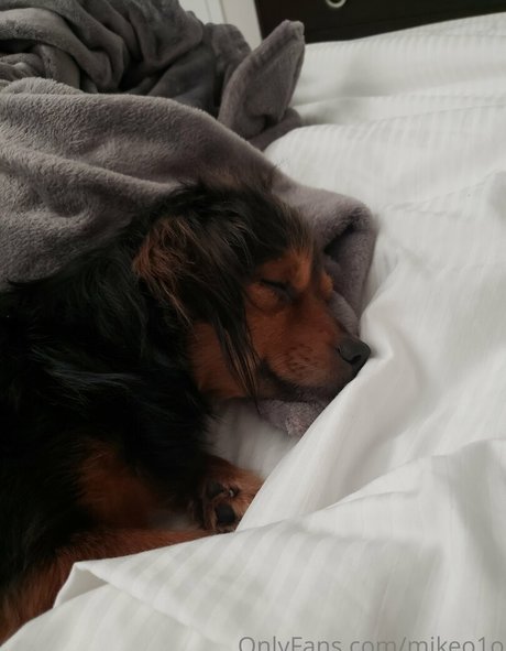 mikeo1o art pornstar pictures