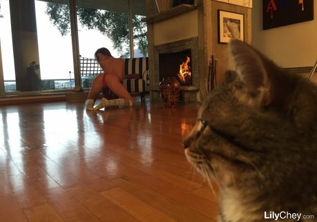 Guerlain porn star photos