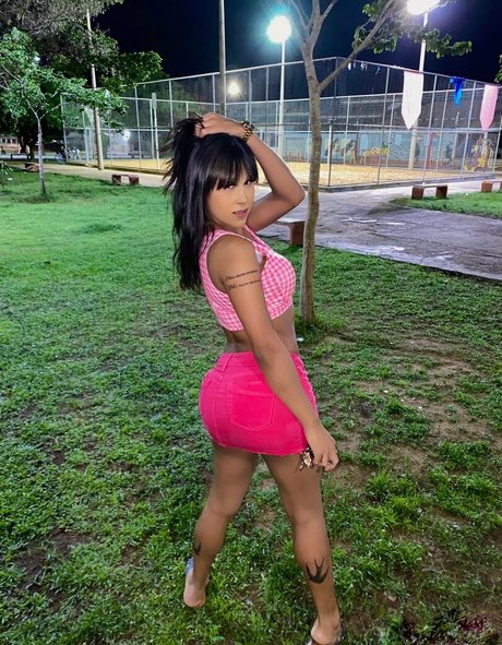 icacaureis best star archive