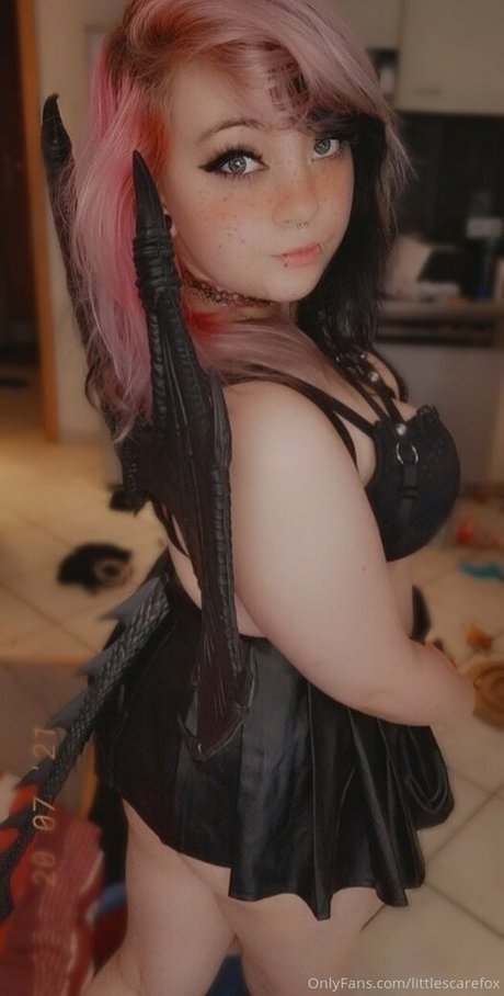 littlescarefox star photo