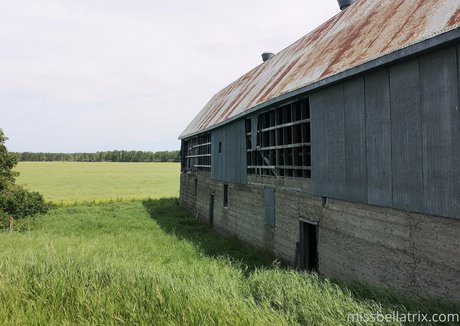 bellatrix adult actress image