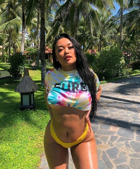 annouveauriche art star image