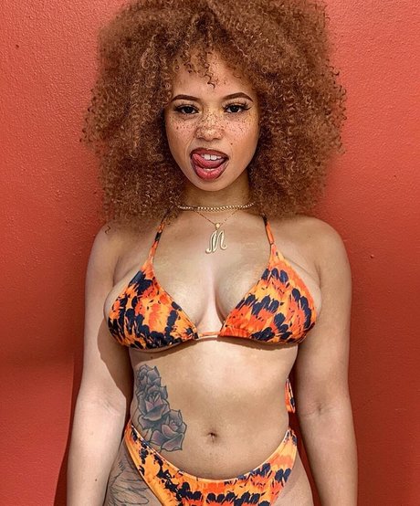 mayaregiii free pornstar archive