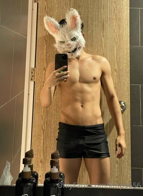 kmp5656 hd model img