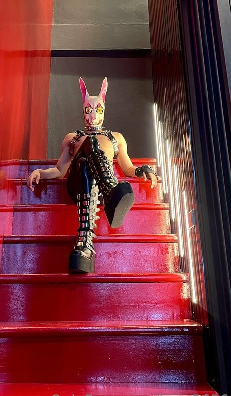 kmp5656 sex pornstar pictures