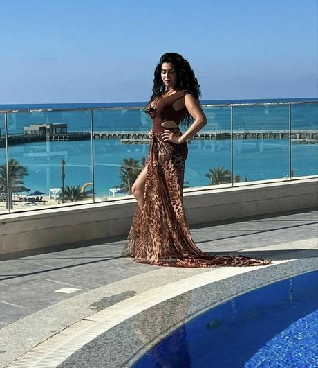 Mirhan Hussein pornstar art images